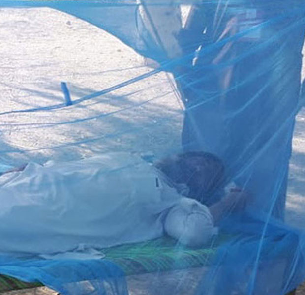 malaria